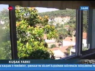 Kuşak Farkı - 11.07.2010