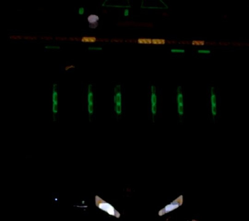 Lyon 8/12/11 Flipper Célestins