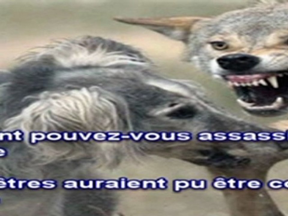 Logic : Spectateur -  Armée du Peuple