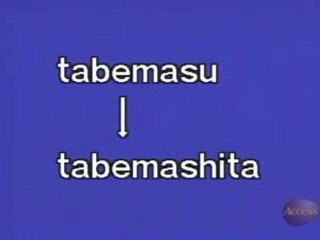 Japanese Basic I - 11 - I went to Nikko