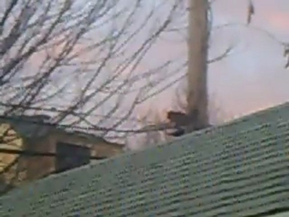 PICT0063