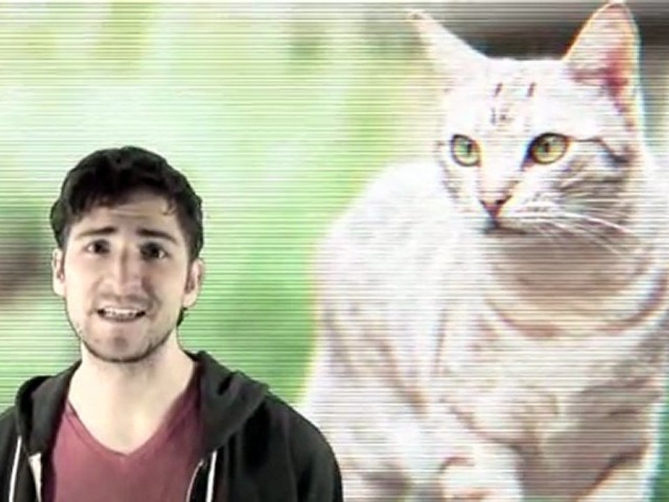 ATS RECAP 02 - 2012 Alien Cat Drones