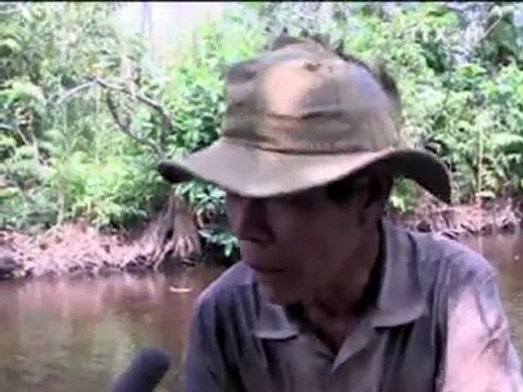 Nhịp đập thị trường 22.12.2011 TRUYỀN HÌNH THÔNG TẤN, TTXVN