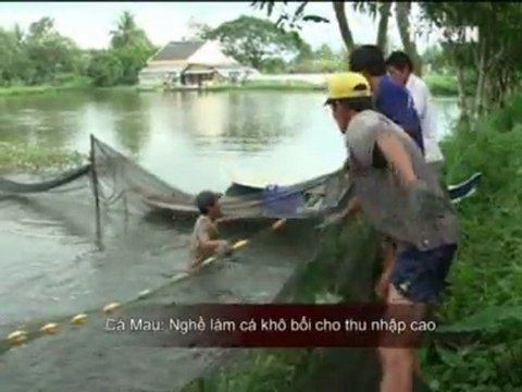 Nhịp đập thị trường 27.12.2011 TRUYỀN HÌNH THÔNG TẤN, TTXVN
