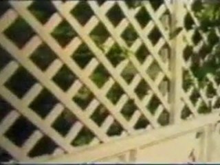 a country practice episode 115