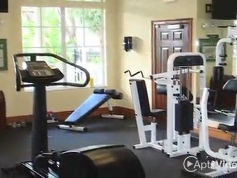 Springs at Bloomingdale Apartments in Riverview, FL - ...