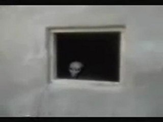 alien grey.(file documents found in FBI).