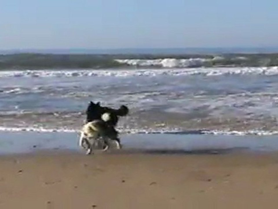 1ère sortie à la mer