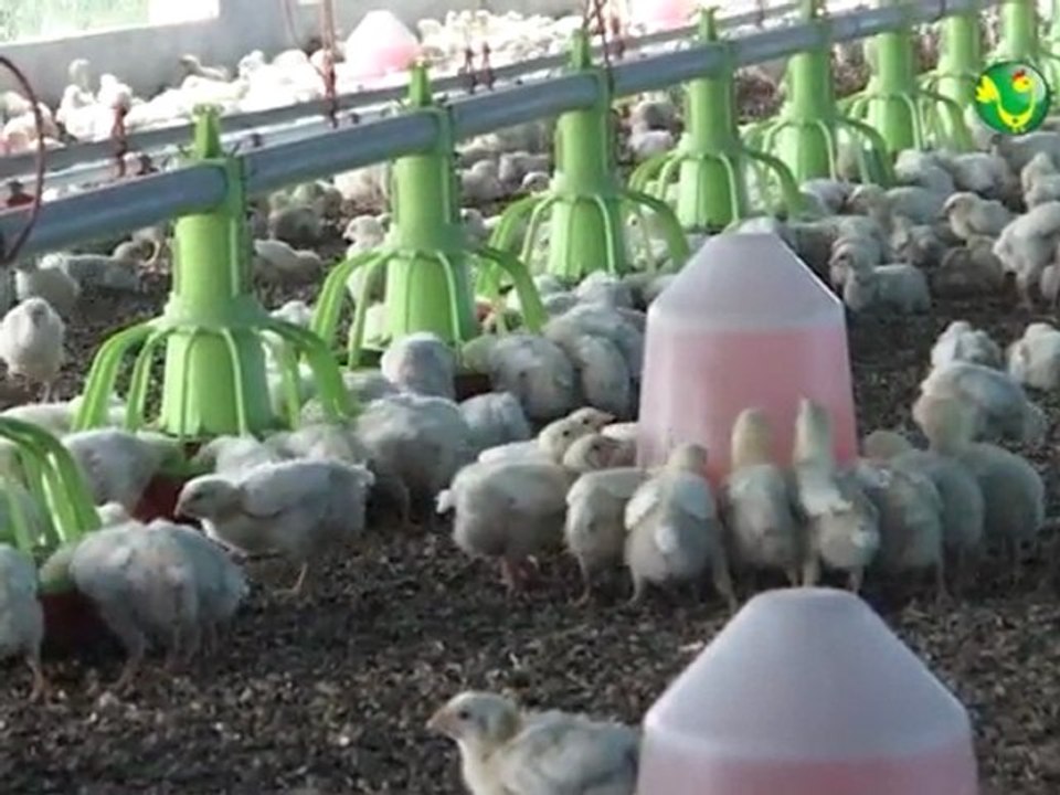 NMA Sanders : charte qualité Sénévol