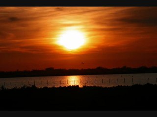coucher de soleil en camargue