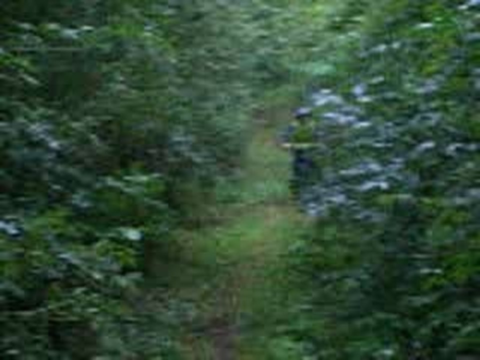 chute 1