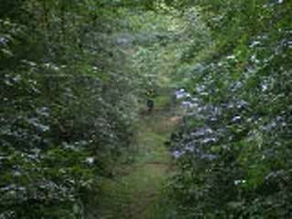 chute2