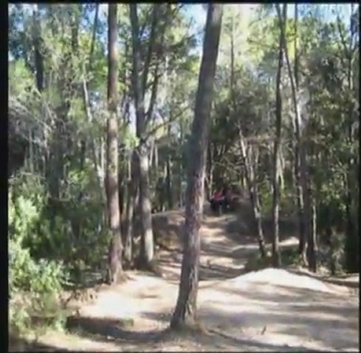 MOEL 2011