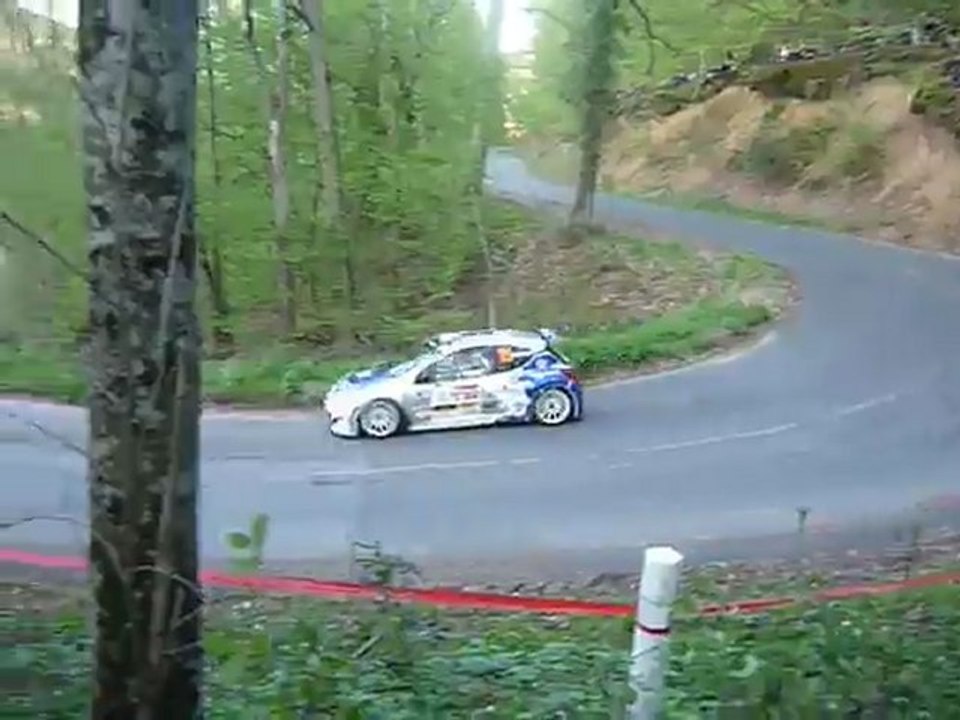 Rallye Lyon-Charbonnières 2011 David Salanon Es Brulioles-Bessenay