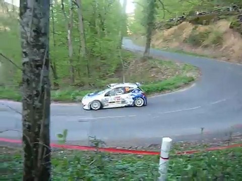 Rallye Lyon-Charbonnières 2011 David Salanon Es Brulioles-Bessenay