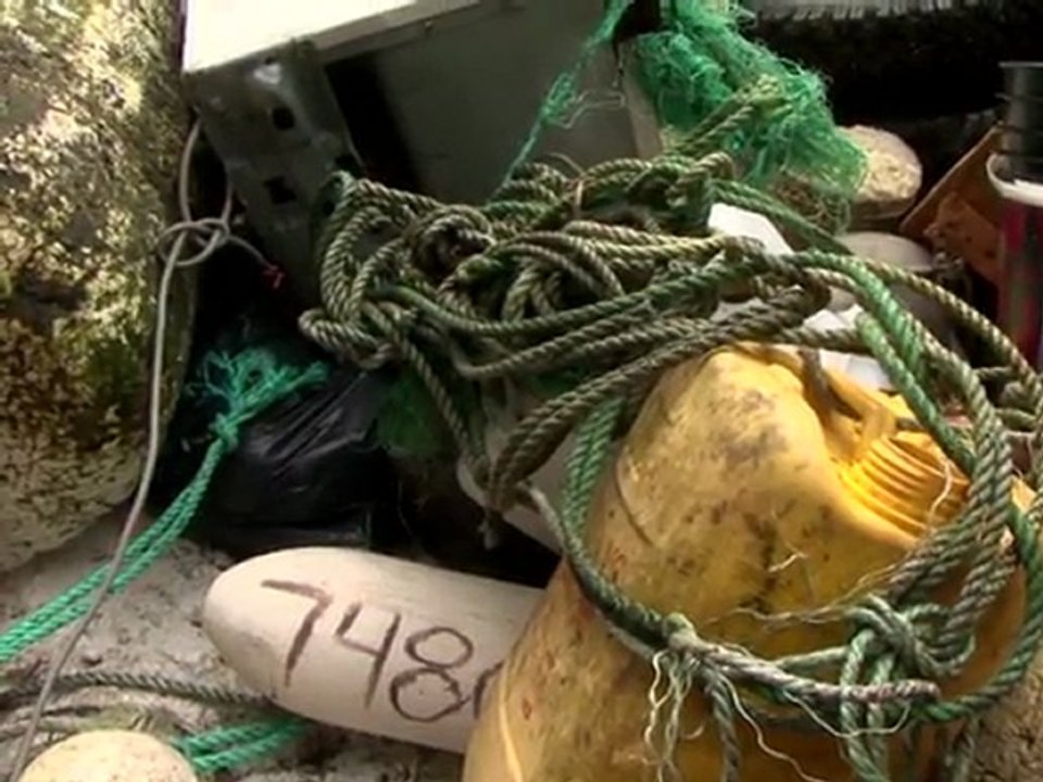 Japanische Tsunami-Trümmer werden an Amerikas Küsten gespült