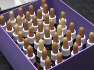 Nuestras mascotas también se cuidan