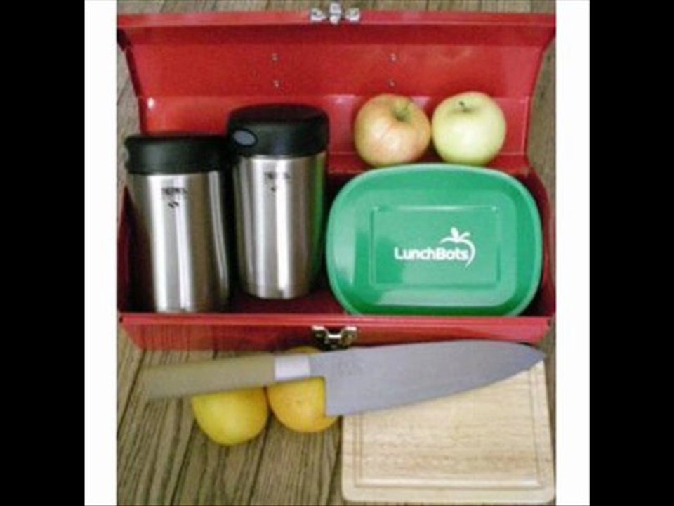 Thermos Nissan 16-Ounce Stainless-Steel Food Jar