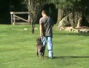 {o312} 325 2 523 DİKMEN arçelik  hizmet sevis DANIŞMA {ANKARA}