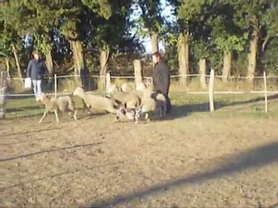 Galak et ses premiers pas_0002