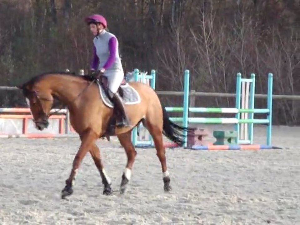 cours 26112011 2eme passage