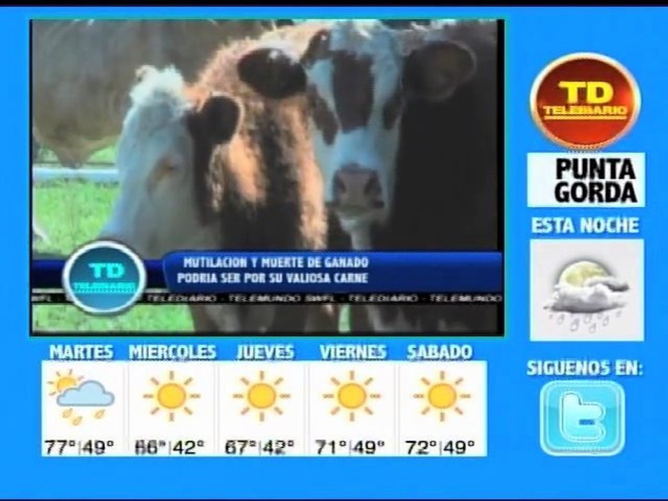 Telediario Edicion Nocturna 12/27/11