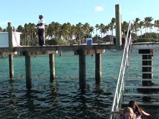 Punta Cana - Avec les dauphins