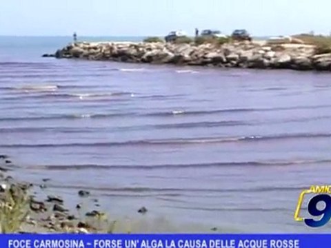 Foce Carmosina | Forse un'alga la causa delle acque rosse