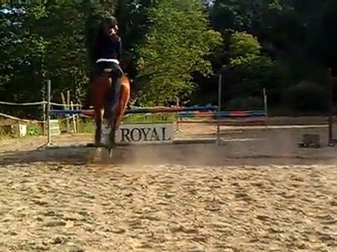 Nerée de la chenaie & Elena Cadec Saut d'obstacles