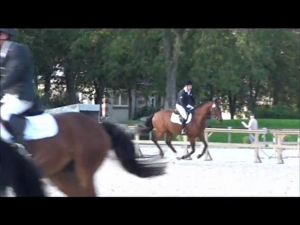 2011 ukko regional d'automne st lô