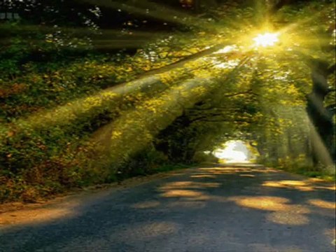 GÜZ GÜLLERİ HAKAN TAŞIYAN yavuz959