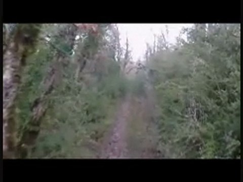 CHASSE A LA BECASSE AVEC BAHIA ET CHRYSTALE DU 28.12.2011