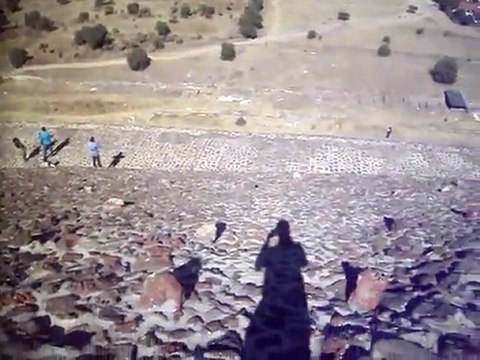 Piramides de Teotihuacan