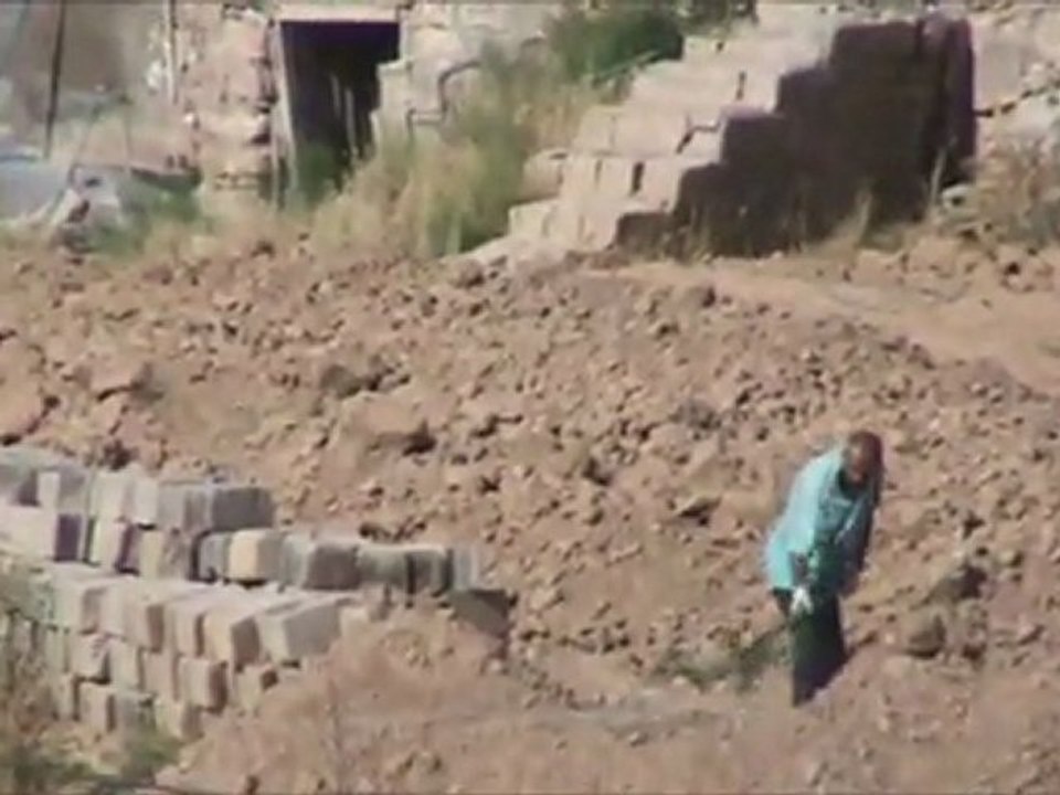 Karisik mahmutlu Koyu