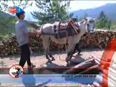 Haber Anadolu - 11.07.2009