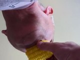 eating corn ephemeral8 aka Avi Rosen YouTube's largest Vlog