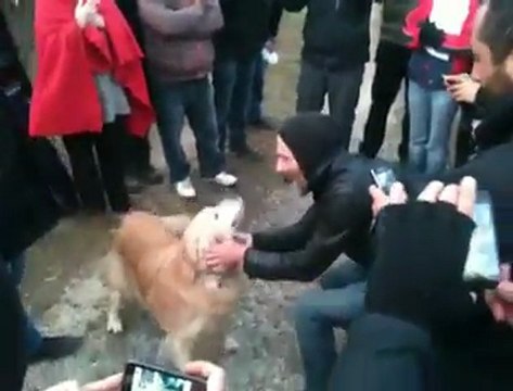 Fenerbahçe 6 Kasım-Eğitmen Bora Erbek ve Köpeği Dost