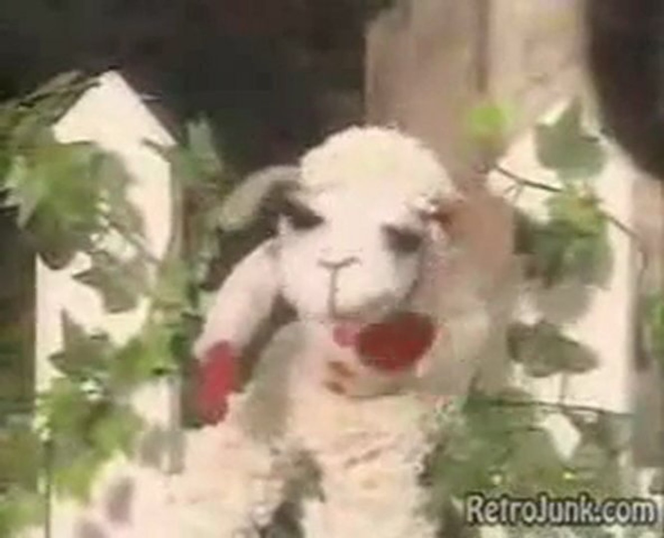 Lamb Chop Sings Metal