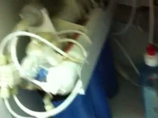 water filter  Reverse Osmosis