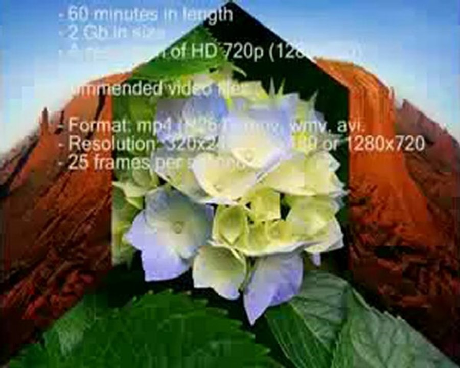 My Video