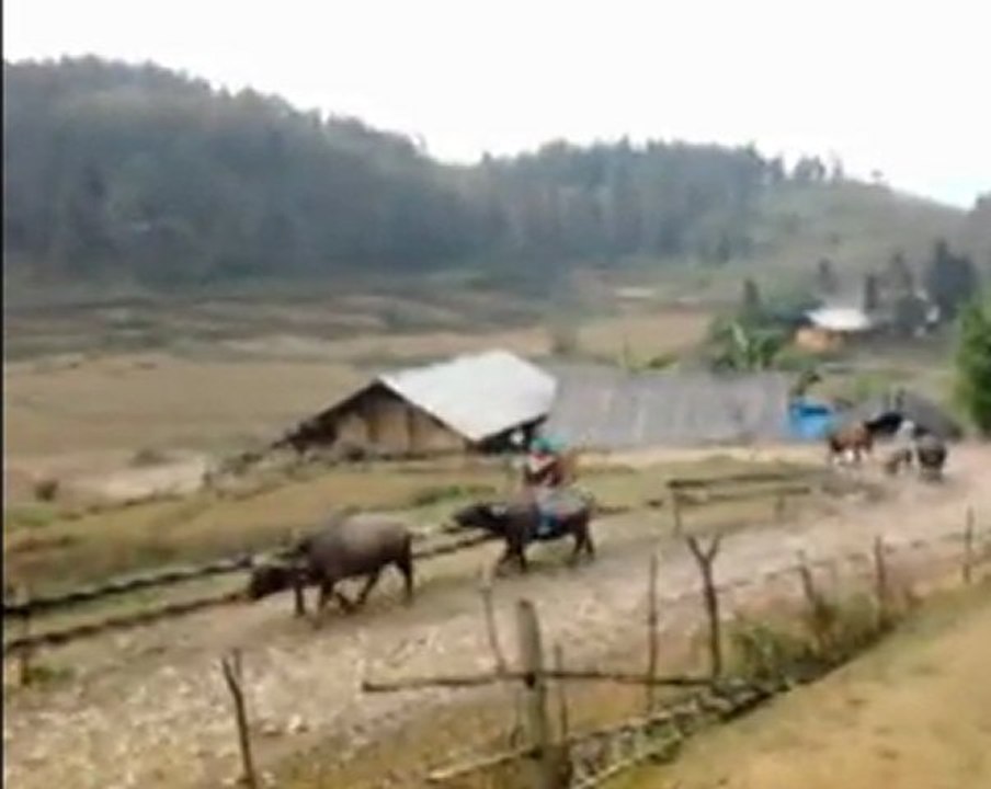 Trek Bac Ha Dry Season