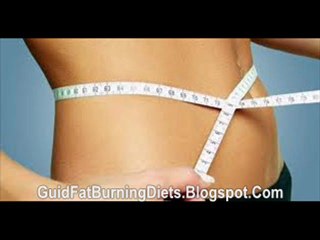 buy fat burning furnace