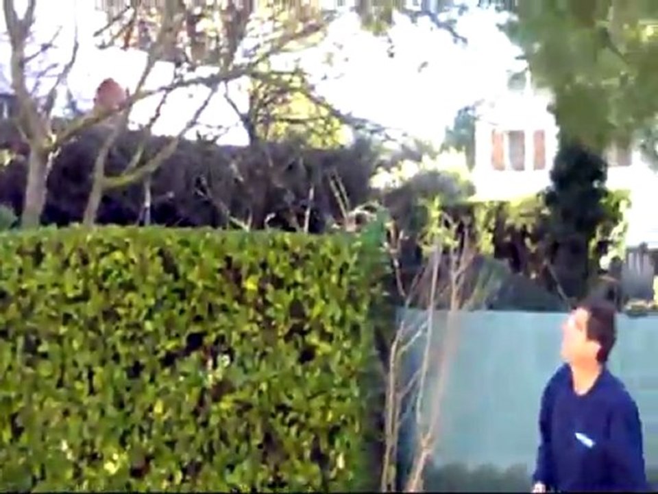 Nine Eagle 328 20111228