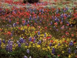 ORHAN HAKALMAZ-AL ELİNE KALBİNİ