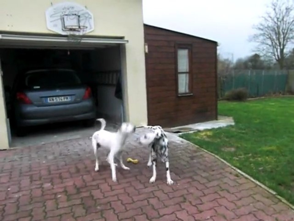 Jeux Alto et Fibee