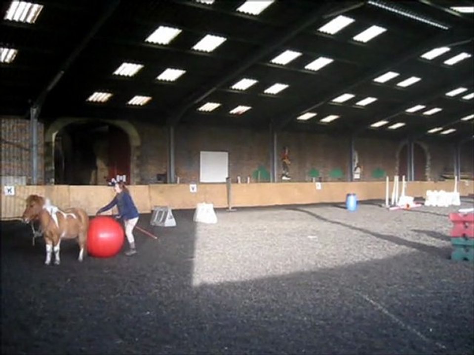 carafin2011
