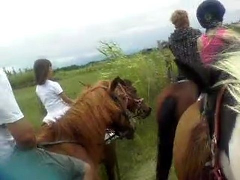 PETIT SOUVENIR NOTRE BALADE A CHEVAUX FAMILLE EN VACANCES CETTE ETE CETAIT TROP BIEN