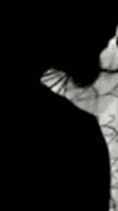 Pierrick Naud, le lieu unique, nantes, 2006