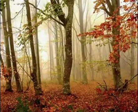 Gitme Yanımda Kal-M Cura-Sami bekmez