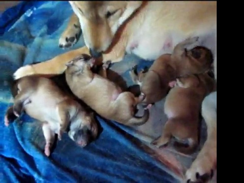 Akimi et les Wakimi 1